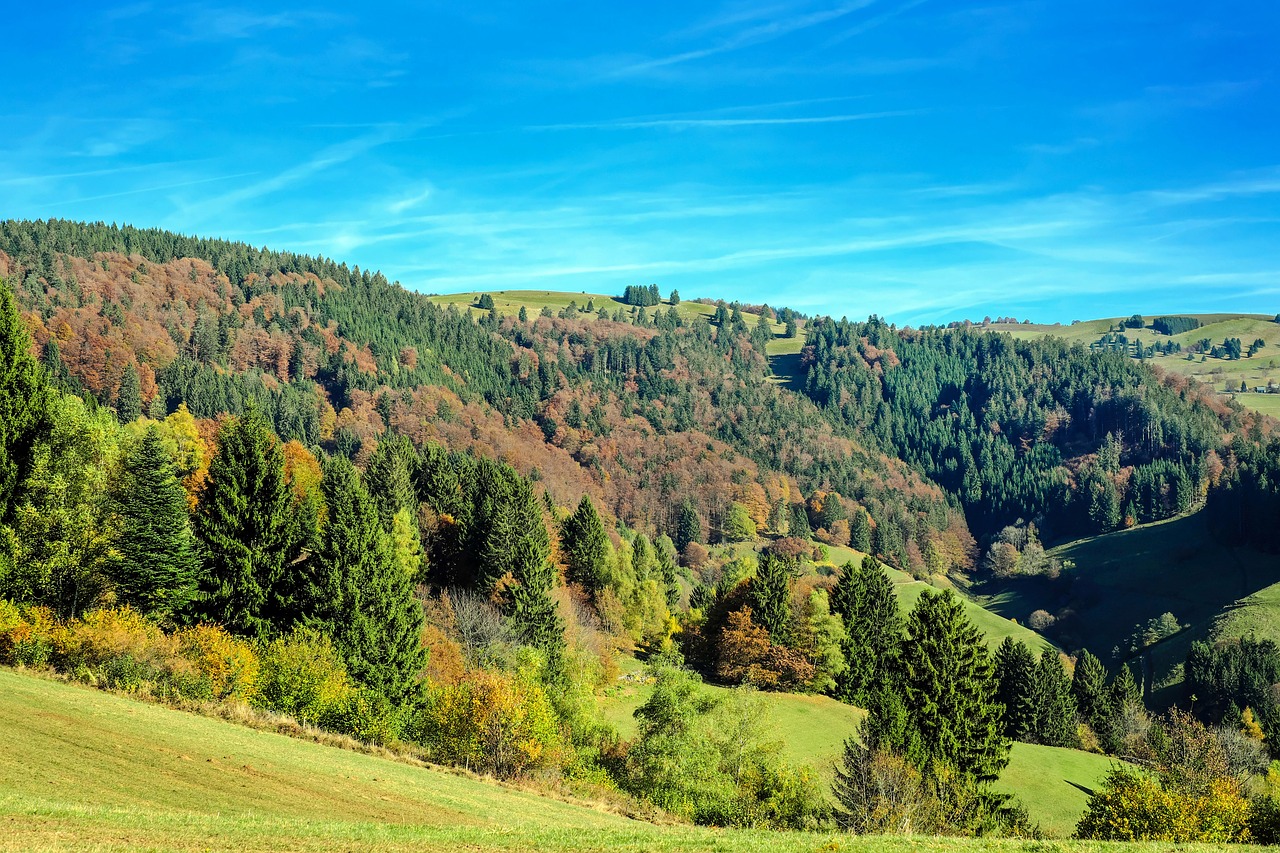 Wandern im Schwarzwald