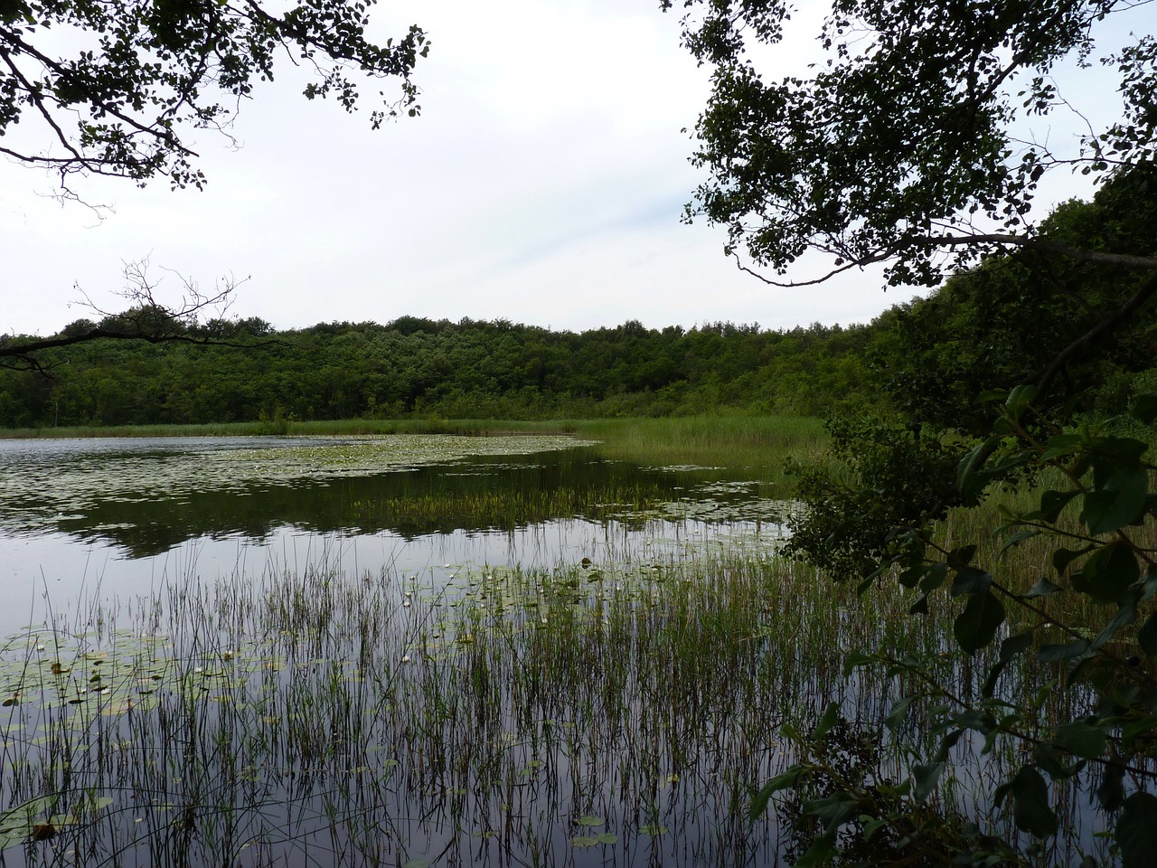 Fleesensee